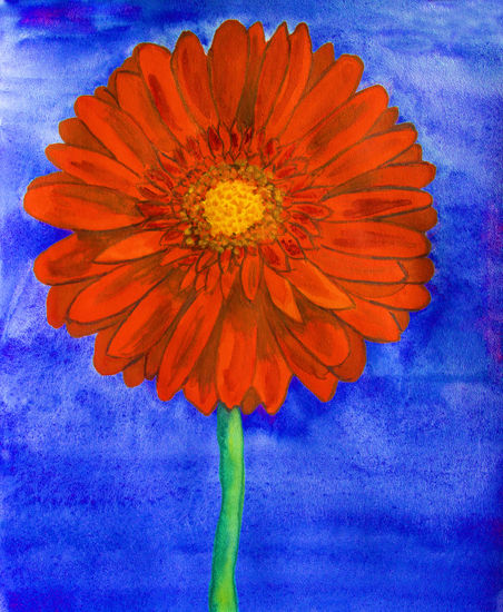 Red gerbera on blue Watercolour Paper Floral Painting