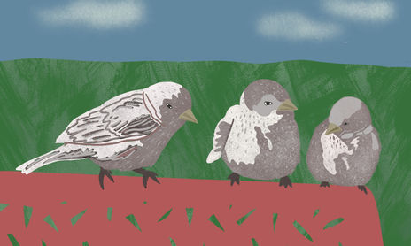 Animales digital