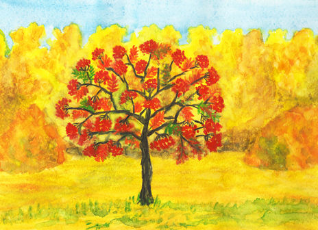 Ash tree in autumn 2