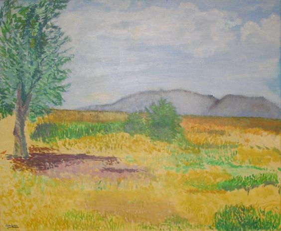 paisaje