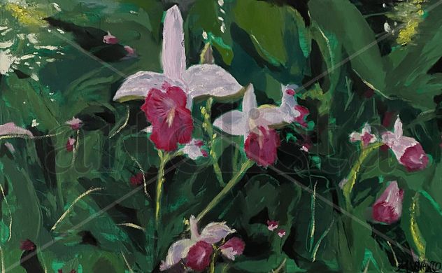 Flores de selva