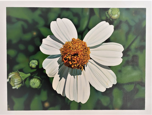 Daisy Flower Oil Canvas Floral Painting