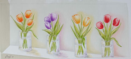 Colección de tulipanes