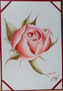 La rosa