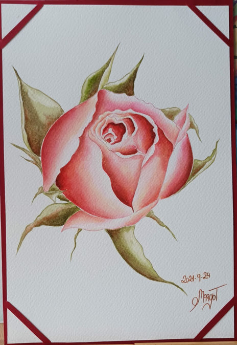 La rosa