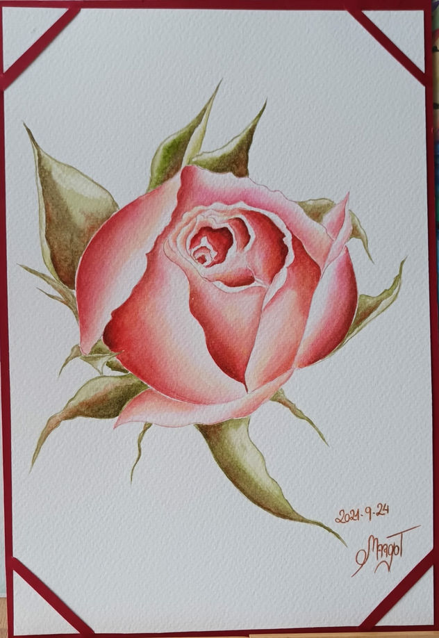 La rosa