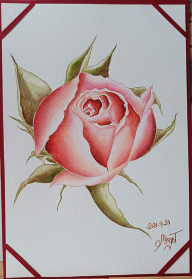 La rosa Watercolour Paper Floral Painting