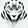 Tigre blanco
