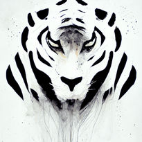 Tigre blanco