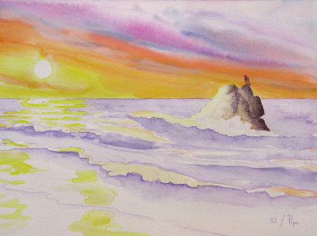 Amanecer con cormorán