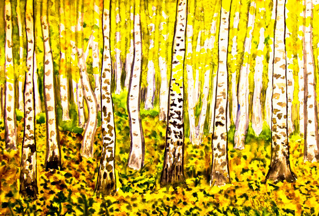 Birch forest in autumn