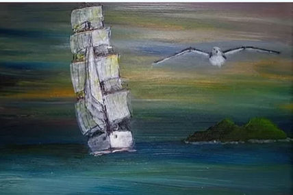 The sea bird eyes