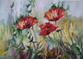 AMAPOLAS