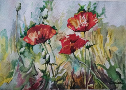 Amapolas