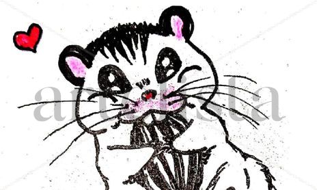 ramdomdraws