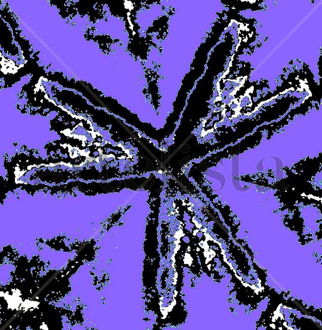 Starfish 1k2