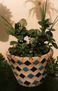 Macetero mosaicos
