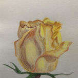Floral thumbnail 2