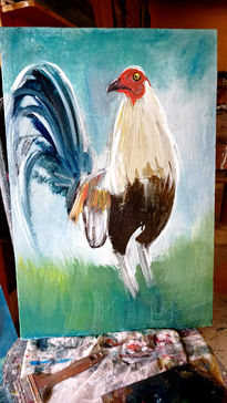 Gallo