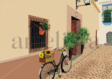 Calle con bicicleta...