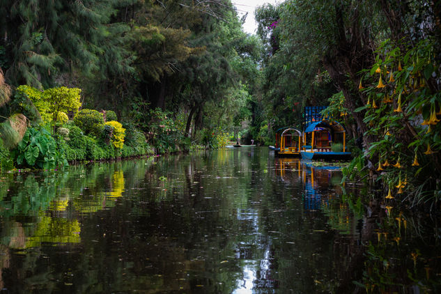 Canales de Xochimilco / Xochimilco channels Travel Color (Digital)