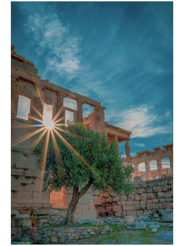 Erechtheion, Helios Flare & Olive tree