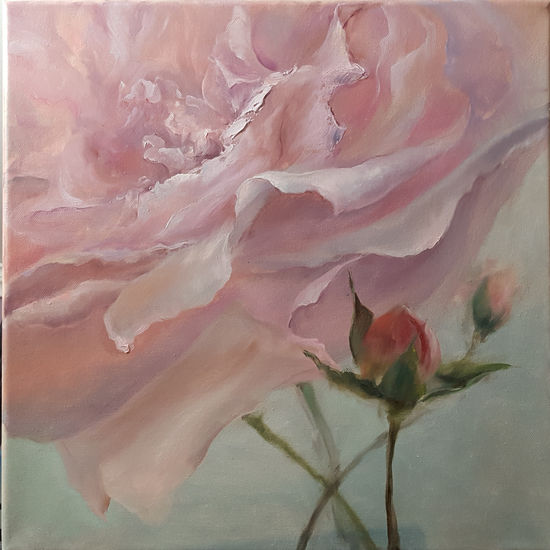 'Rose in close-up' Oil Canvas Floral Painting