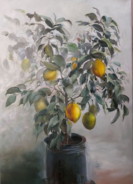 'Lemon tree'