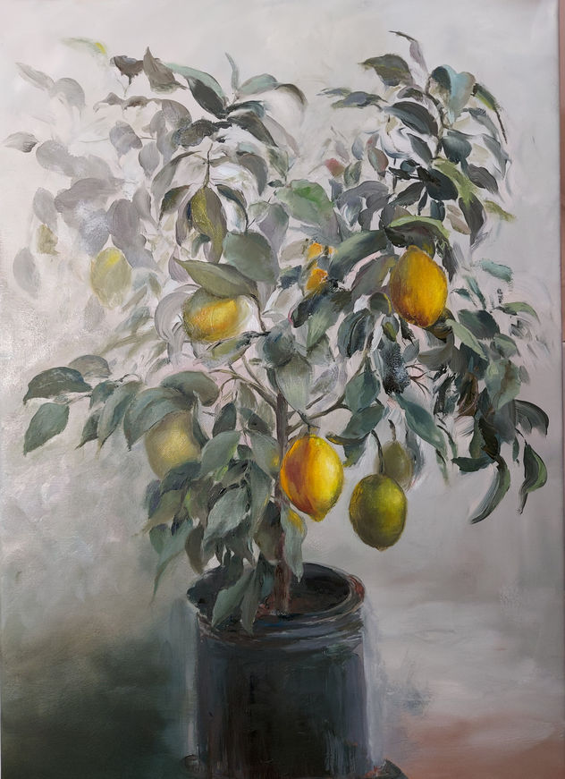 'Lemon tree'