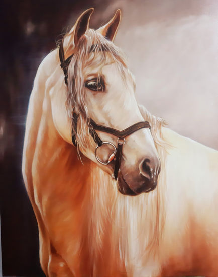 Caballo Ambar Oil Canvas Animals