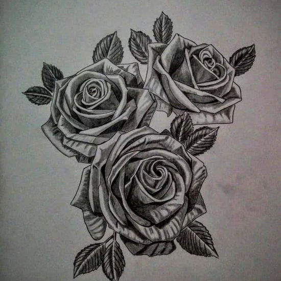 Rosas Grafito