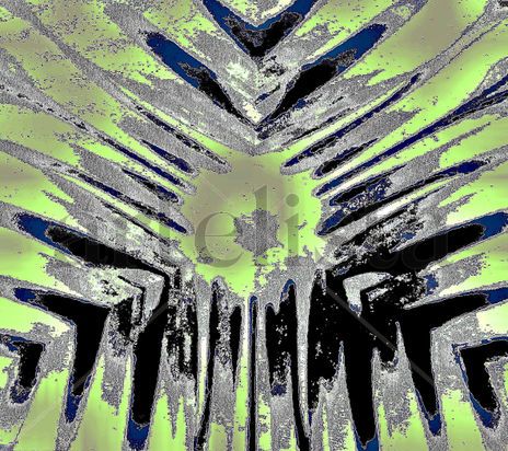 Symmetry 2-2b2g