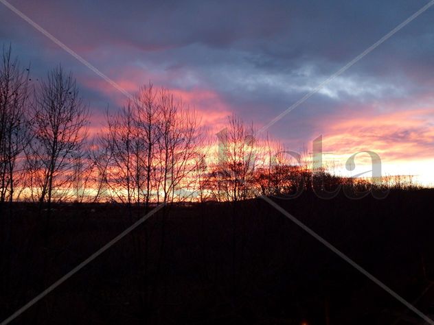 Cálido atardecer