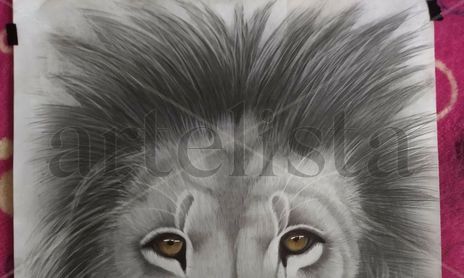 animales