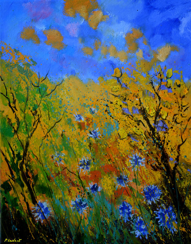 cornflowers  45