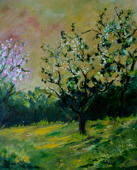 Orchard in spring