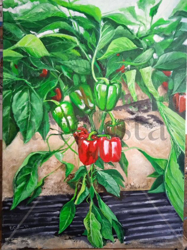 Pimientos