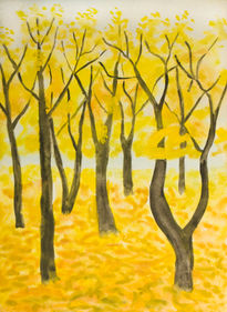 Yellow trees