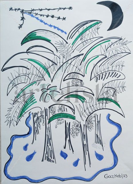Oasis
