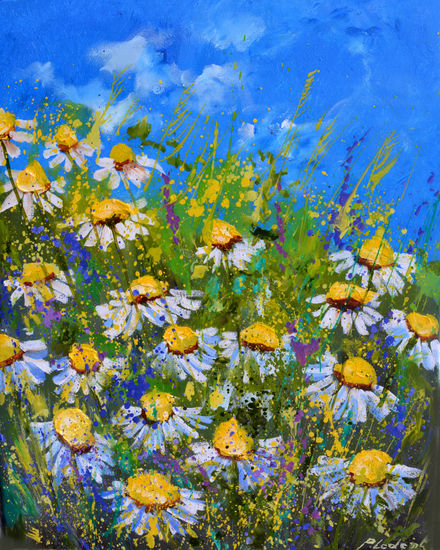 Daisies in summer Óleo Lienzo Floral