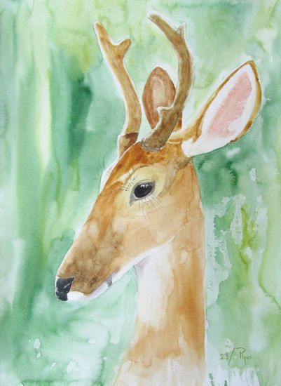 corzo Watercolour Paper Animals