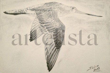 El vuelo del Colibrí