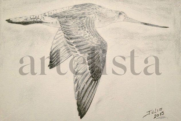 El vuelo del Colibrí