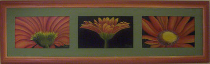 Girasoles