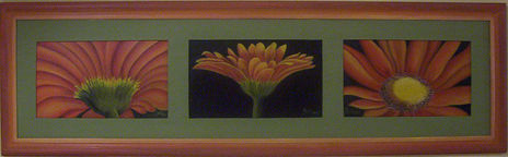 Girasoles