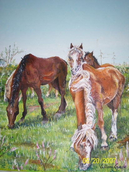 PASTANDO Oil Canvas Animals