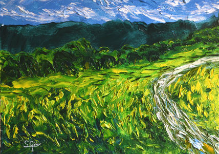 Campos verdes