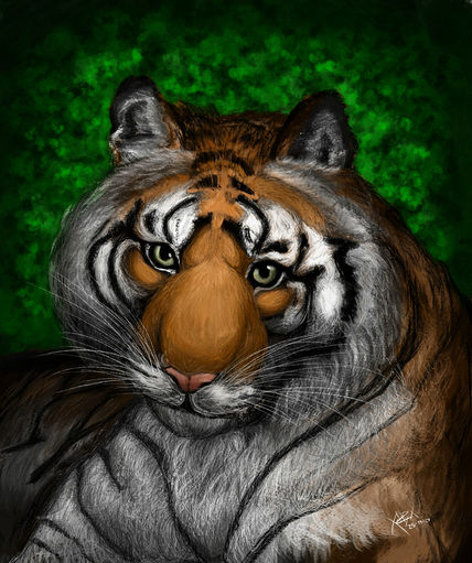 Mirada de tigresa