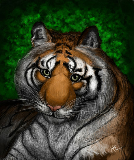 Mirada de tigresa