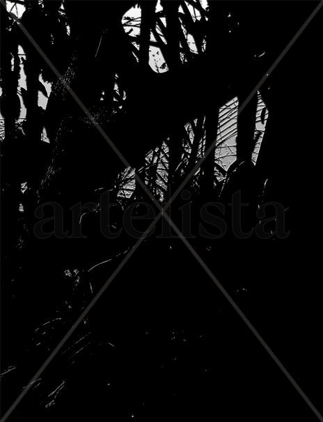 Bosque silencio